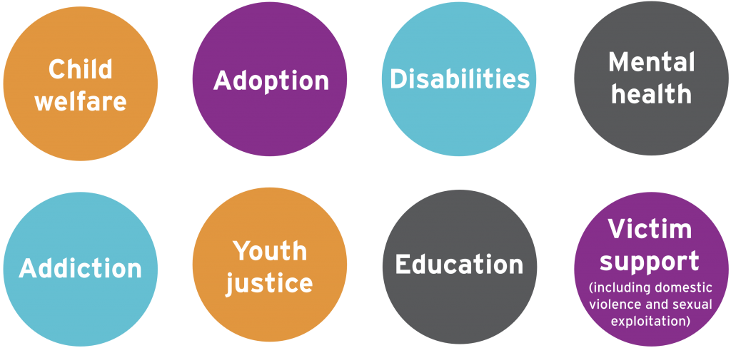 • Child welfare • Adoption • Disabilities • Mental health • Addiction • Youth justice • Education • Victim support (including domestic violence and sexual exploitation)